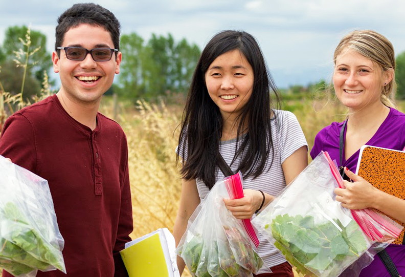 Students collect vine samples for testing in the lab.
