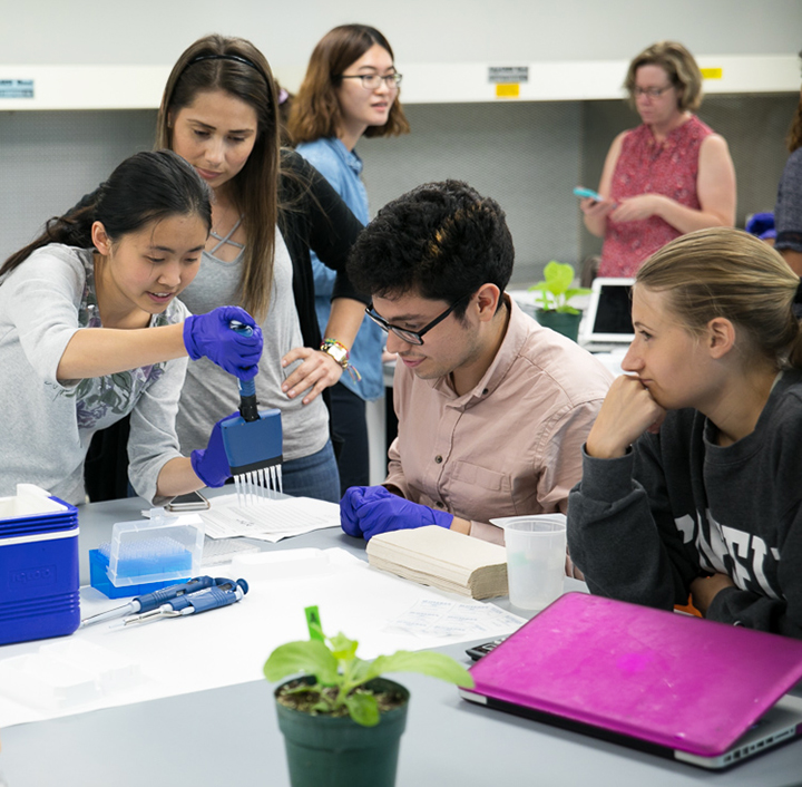 Students practice pipetting techniques in lab class to prepare a biological sample for testing