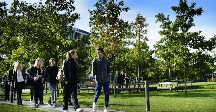 Students walking across a green campus