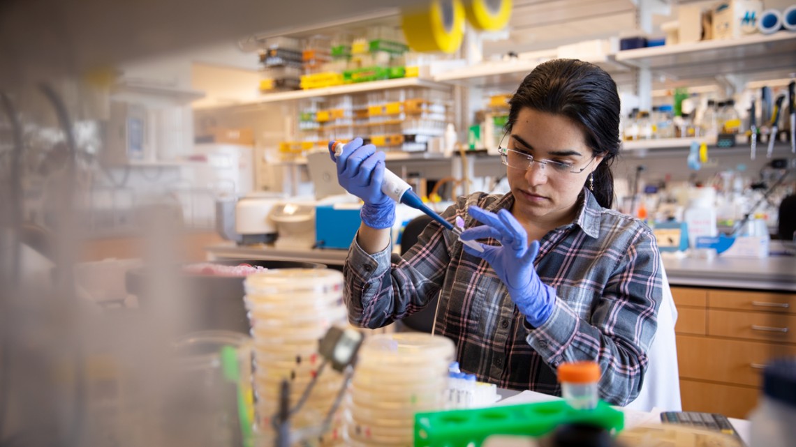 woman working in a lab wearing blue protective gloves