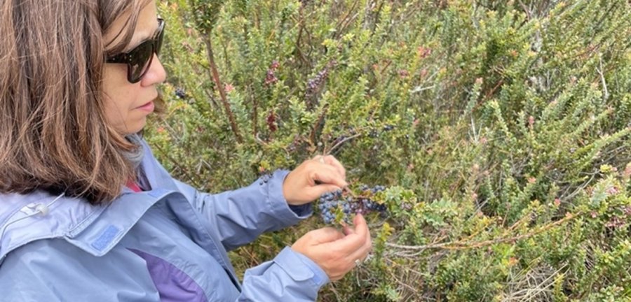 Maria Torres on a field trip to collect Andean blueberry samples