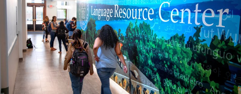 Two students working by a wall that has a posterized view of Cornell and says Language Resource Center.