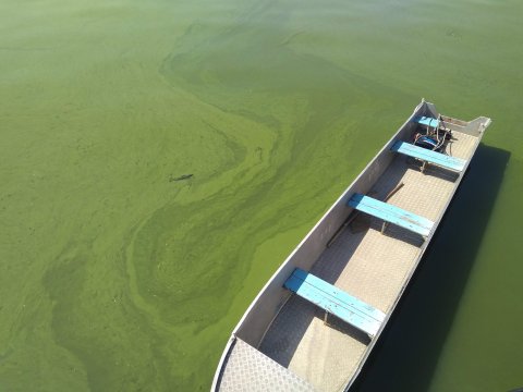 Boat on lake with algal bloom 