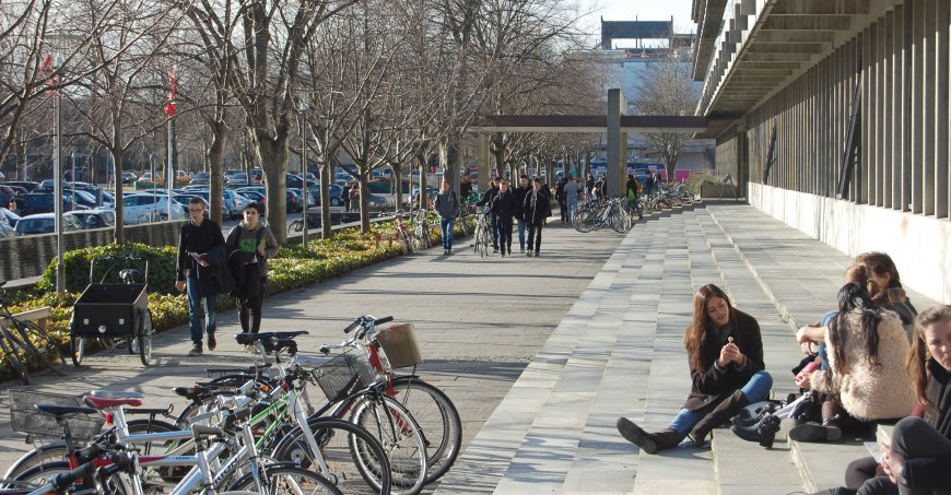 Students sitting on a stoop across from bicycles with other kids coming down the path