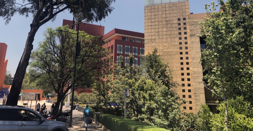 Buildings and trees