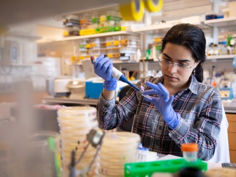 woman working in a lab wearing blue protective gloves