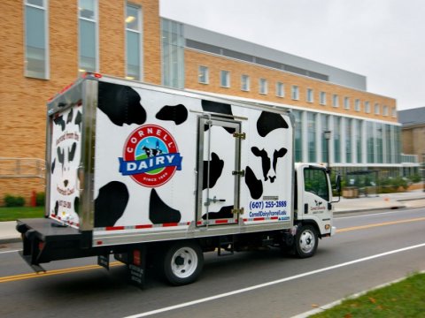 Cornell Dairy truck with signature Holstein patchwork going down road