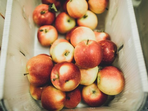 Apples in a wooden bin