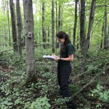 Anna Ulmann taking notes while standing in a woods.