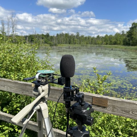 A bioacoustics microphone in front of a lake. 